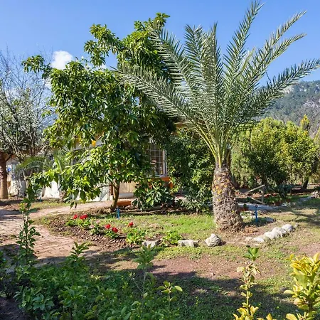Likya Yanartas Bungalows * Çıralı